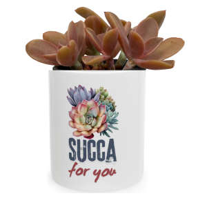 Creative Gifts | Personalised Coffee Mug With Succulents